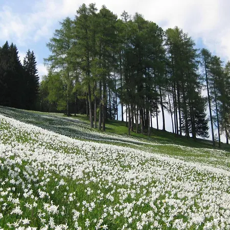 Appartement Apartma Podlogar Golica Triglav *