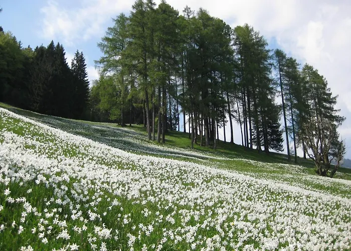 Apartman Apartma Podlogar Golica Triglav *